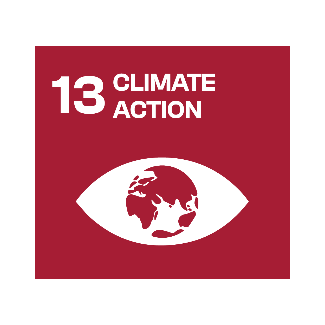 SDG 8